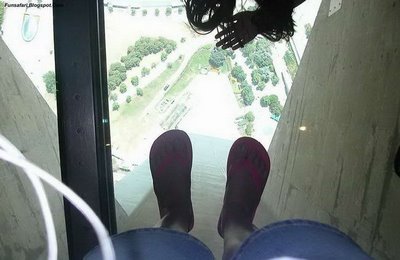 ガラス張りの高層ビルの下17