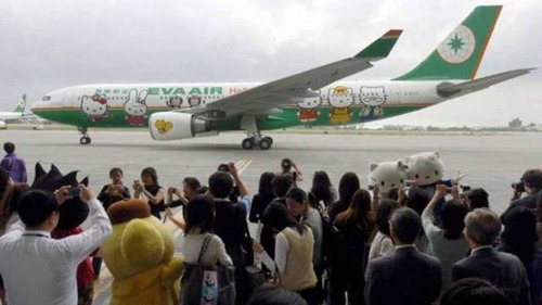 ペイント航空機15