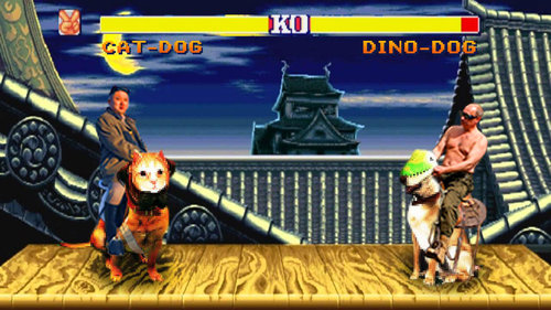 犬に猫マスク02