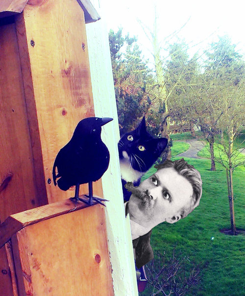 セントバーナードと猫05