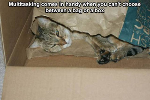 マルチタスクが得意な人々15