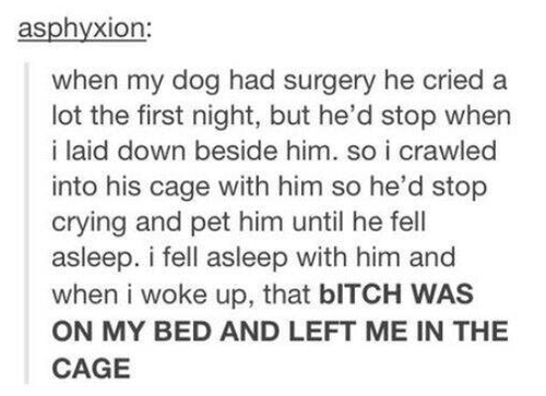 ������Ѥ�����������դ��ޤ���Ĥ��Τ�01