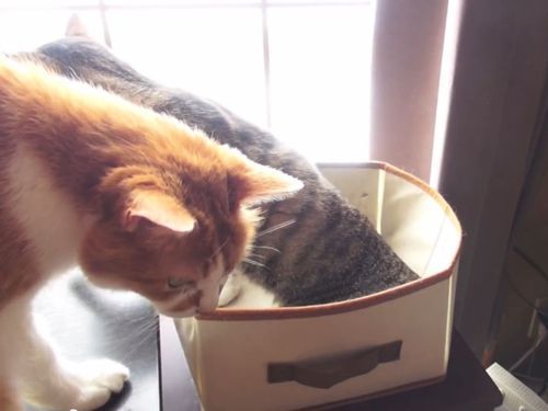 �ʤ����ǭ01