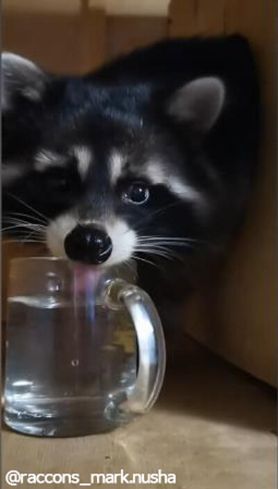 ȤĸŪʤˤʤäƤޤ饤04