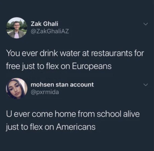 �衼���åѿͤȥ���ꥫ�ͤ����ߤ��˷�̣������Ȥ�01