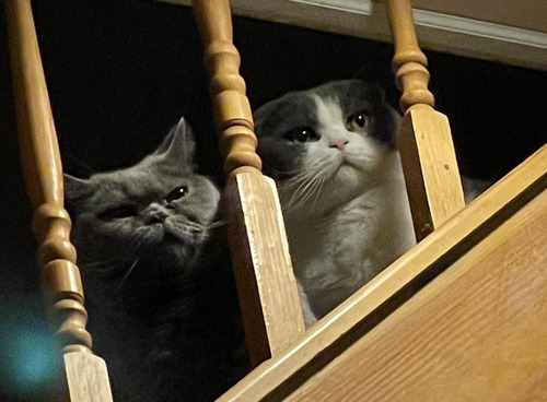 マルーン5とパニック発作の少年02