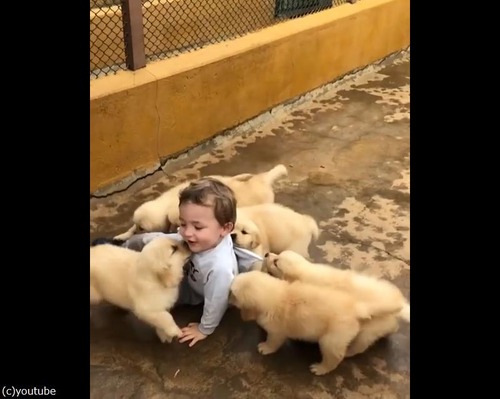 ����ʹ����ʸ��ʤä�¾�ˤ��롩03