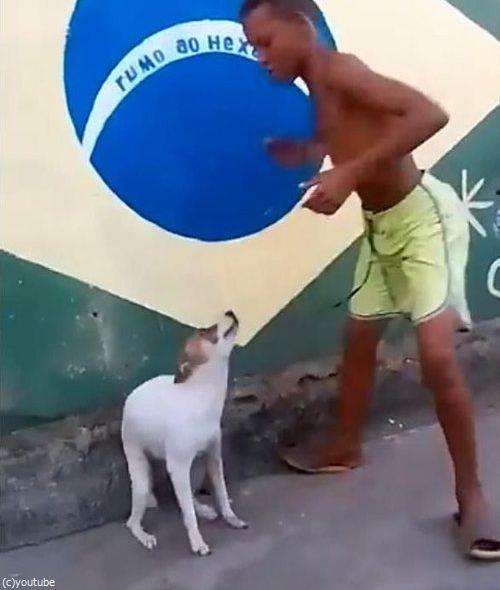 �֥饸��ϸ����äƥ����˥Х�05