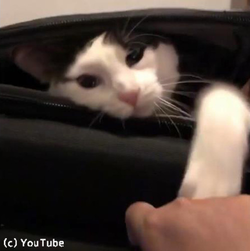 �����ĥ���������򤹤�ǭ04