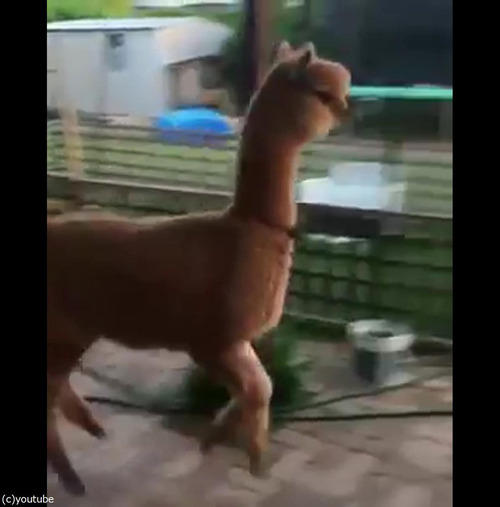 ����ѥ����ɤ���������03