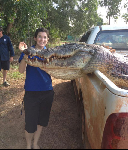 オーストラリアからのワニ02