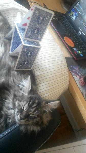 ��ǽ��̵�̸���05