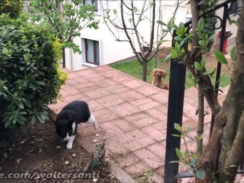 �������줵���ʤ�ǭvs���ꤿ����05