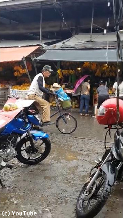 �ߤ���������Ļ����礵�󤬰����ˤȤä���ư�˿����ޤ�06