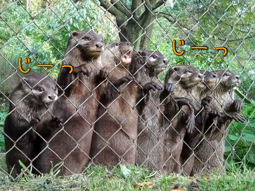 トップ画像候補00