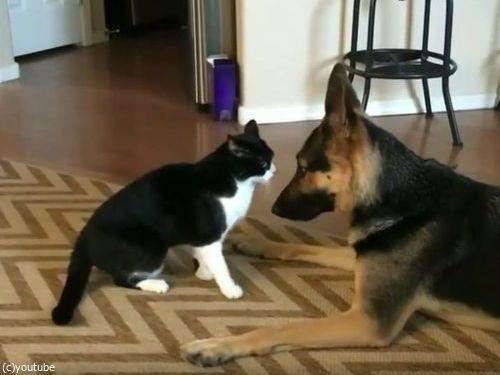 ǭ�ȸ������󥫤��Ƥ�Ȼפä���ķ����ˤۤä���04