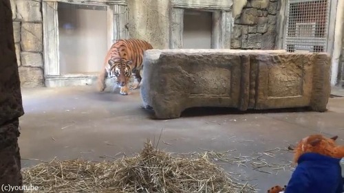 �̤�����ߤȸ�01