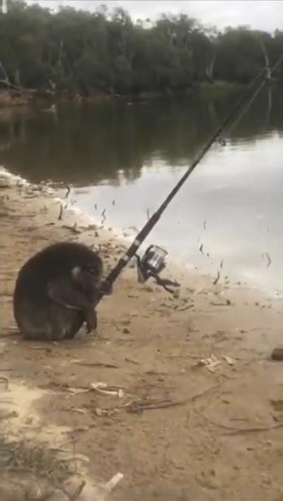 ���Τʤ���������ڤ��ॳ���餬ȯ�������03