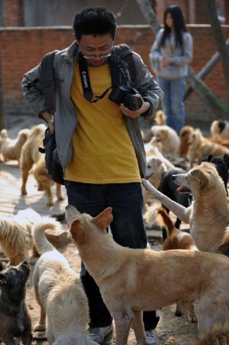 1500匹の犬と200匹の猫09