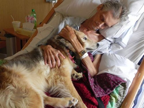 最後は愛犬と10