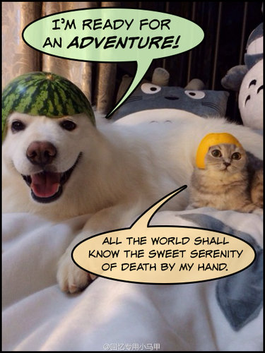 スイカとオレンジ09