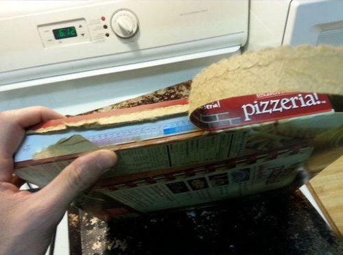 �����ܤ˥��ޤ��줿�͡�06