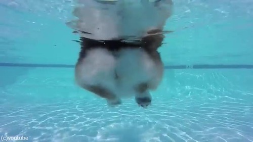 ���������αˤ�����椫�餸�ä���ѻ�04