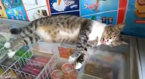 ������ǭ03