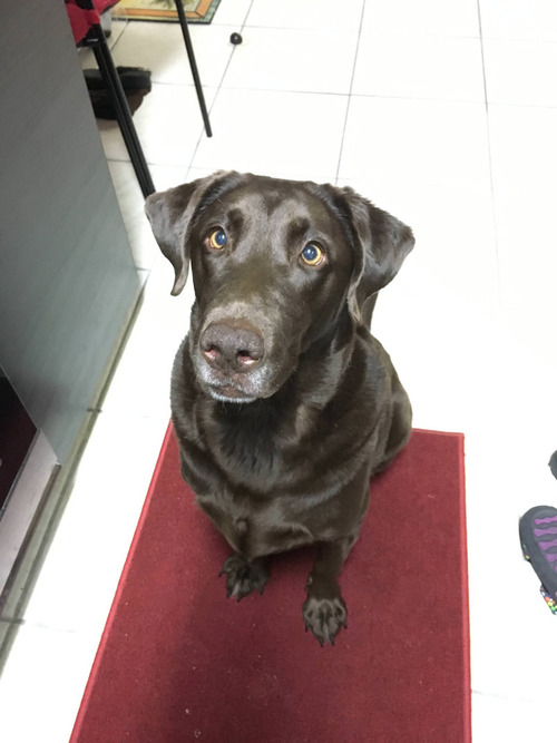 100�ɥ�ʲ����㤤ʪ02