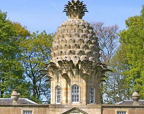 パイナップルのトリビア03