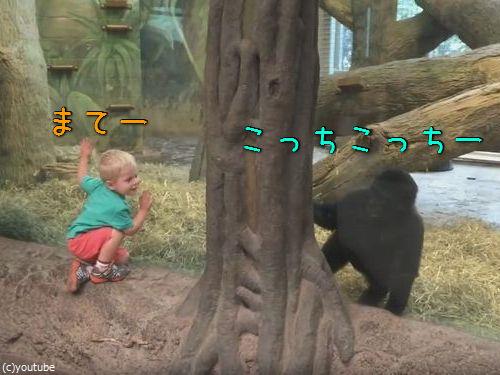 ���饹�ۤ��˿ʹ֤λҶ��ȥ����λҶ���ͷ��00