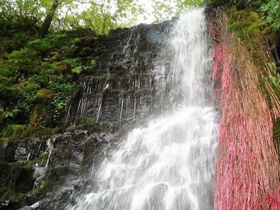 ���󥸥���ե�����05