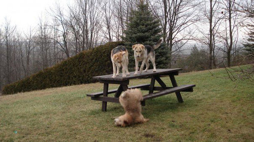 極めつけの瞬間15