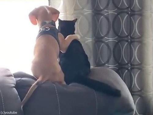 �����Ȥฤ��ǭ04