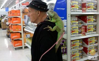 エリマキトカゲ