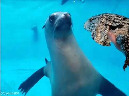 �������ȥȥ���05