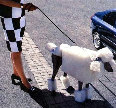 おかしなプードル05