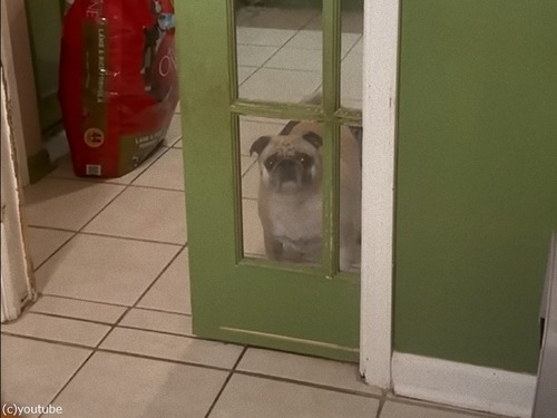 ̤ʤפȻפǤĤǤɥϺǽ餫鳫Ƥ