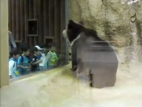 ノリノリのクマ