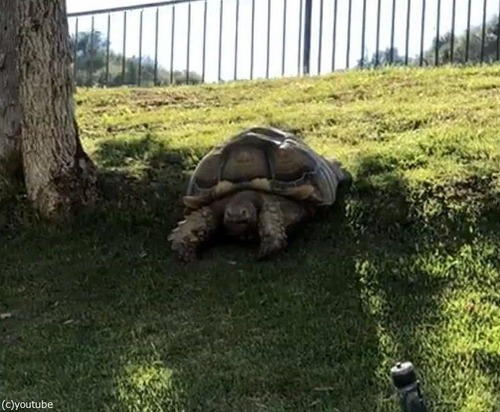 ���Υ����ѡ��ޥ�01