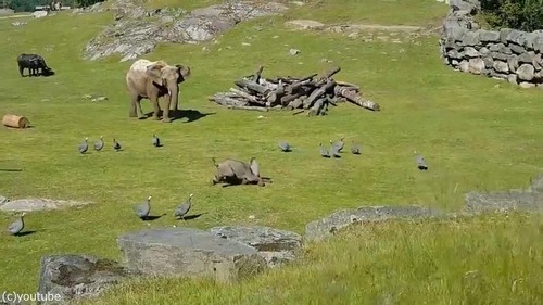 ͷ�Ӥ�̴���ž��Ǥ��ޤ��֤���󥾥�03