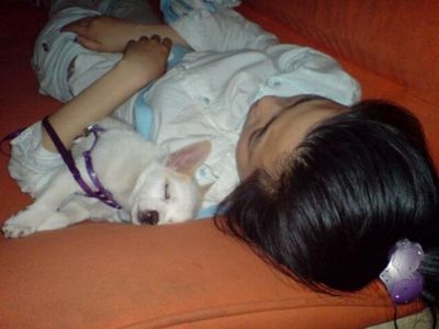 中国のネットカフェでぐっすり眠る人々13