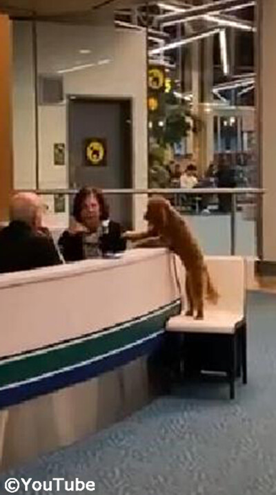 ���֥ϥ����Ƥ�館�ޤ��󤫡���02