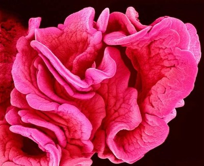 �ŻҸ�����������21