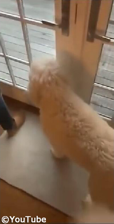 ��äѤ긤�ʤ���ʡ� �����Τ�������ͷ�������Υ��衼��04