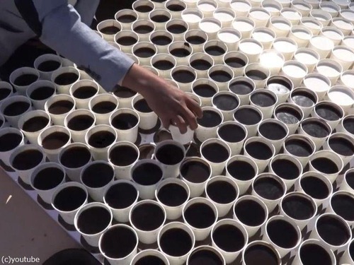 7260杯のコーヒーで「ツタンカーメン」02