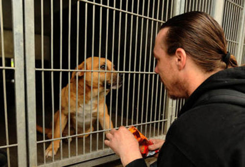 保護センターの前で泣く男性02