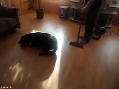 �ݽ�����֤ʸ�01