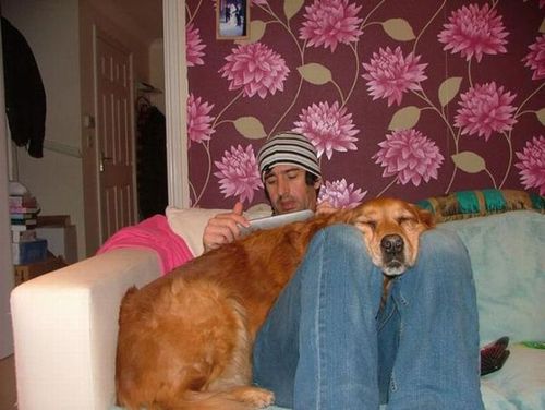 犬と仲良し14