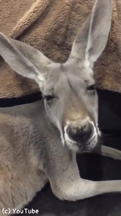 もっと大きなベッドを用意してあげて04